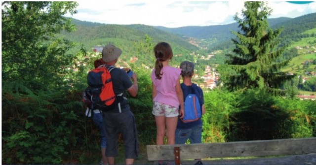 balade-foret-vosgienne