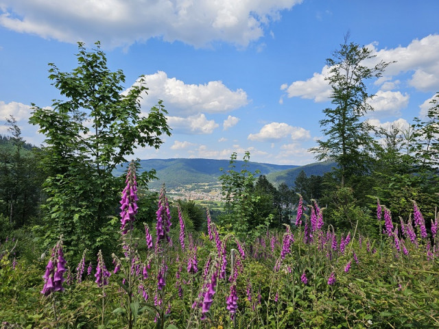 circuit-mont-de-fourche