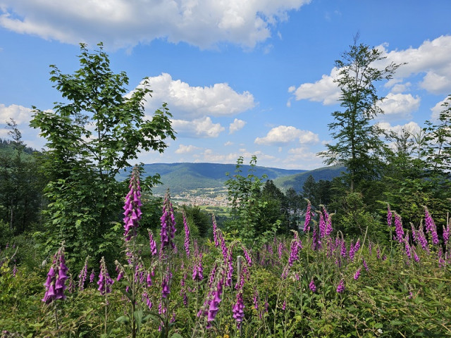 circuit-mont-de-fourche