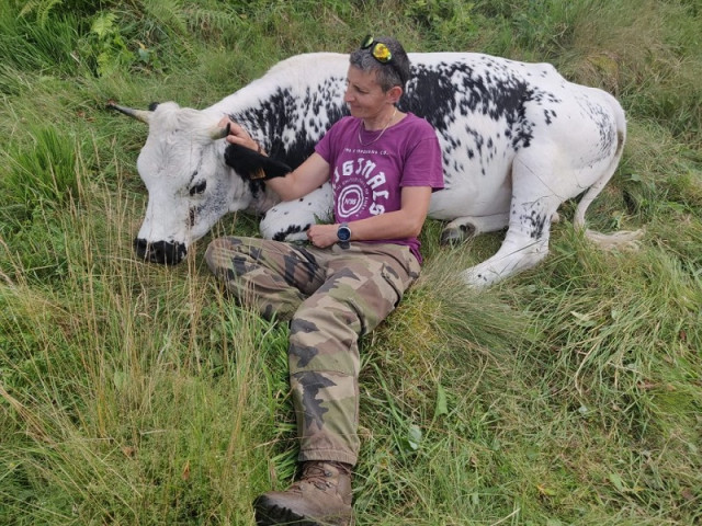ferme-dahu-barbu
