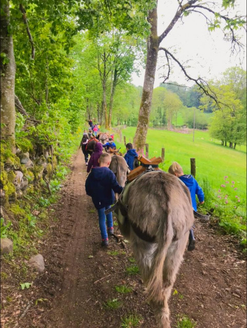 les-ptits-sentiers-animes