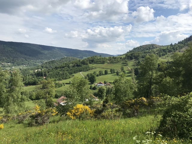 chambre-dhotes-aux-douces-heures-des-ves-le-thillot-7