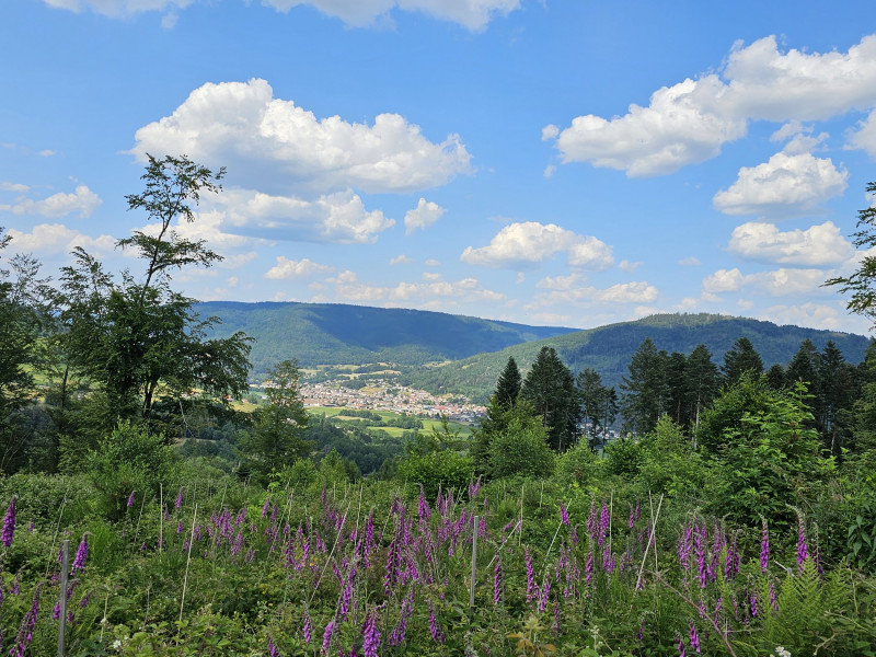commune-de-rupt-sur-moselle-14