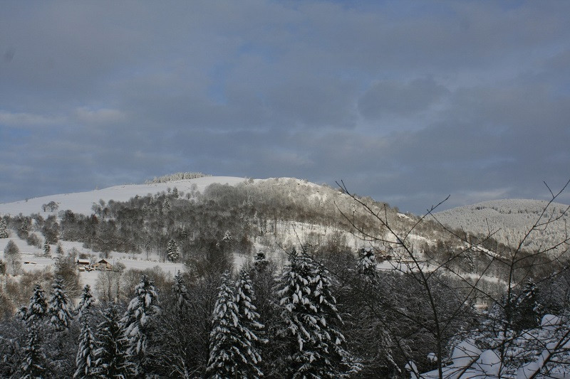 commune-du-menil-9