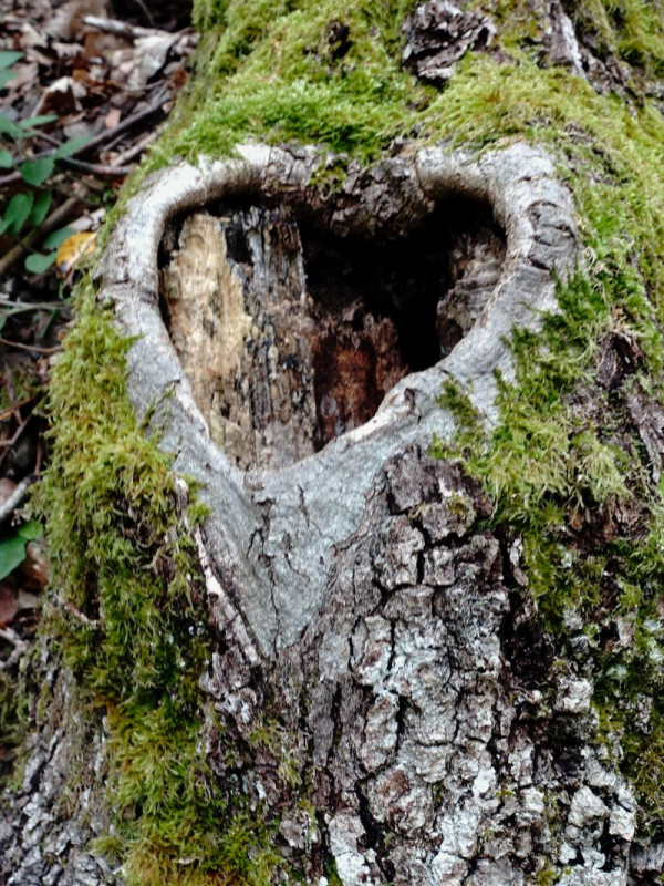 accompagnateur-en-montagne-christophe-bluntzer2