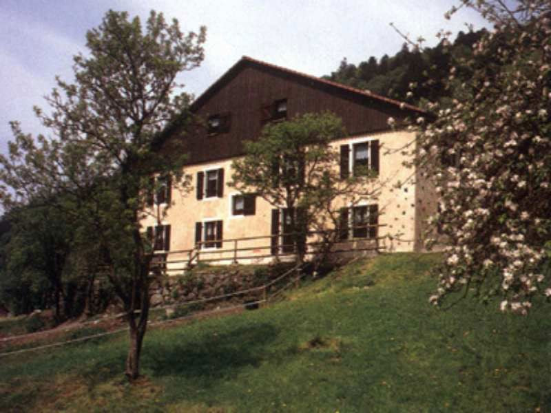 chalet-de-damelevieres-bussang chalet-de-damelevieres-bussang