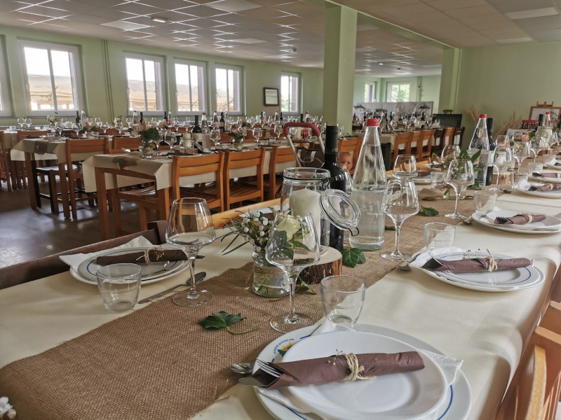 -la-jumenterie-ballon-alsace-4 -la-jumenterie-ballon-alsace-4