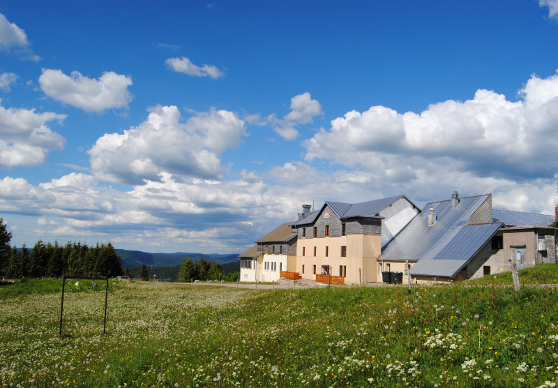 -la-jumenterie-ballon-alsace-7