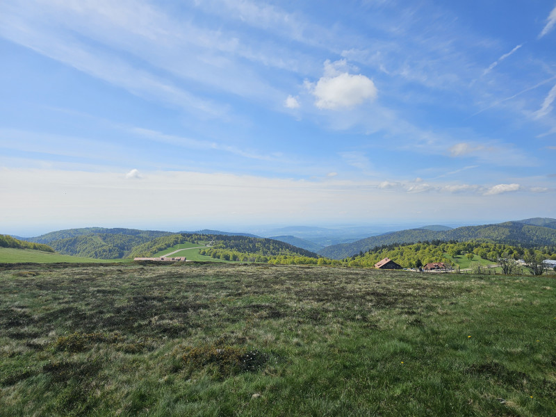 sentier-decouverte-ballon-alsace-5