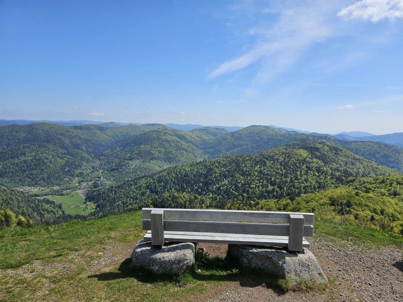 sentier-decouverte-ballon-alsace-6