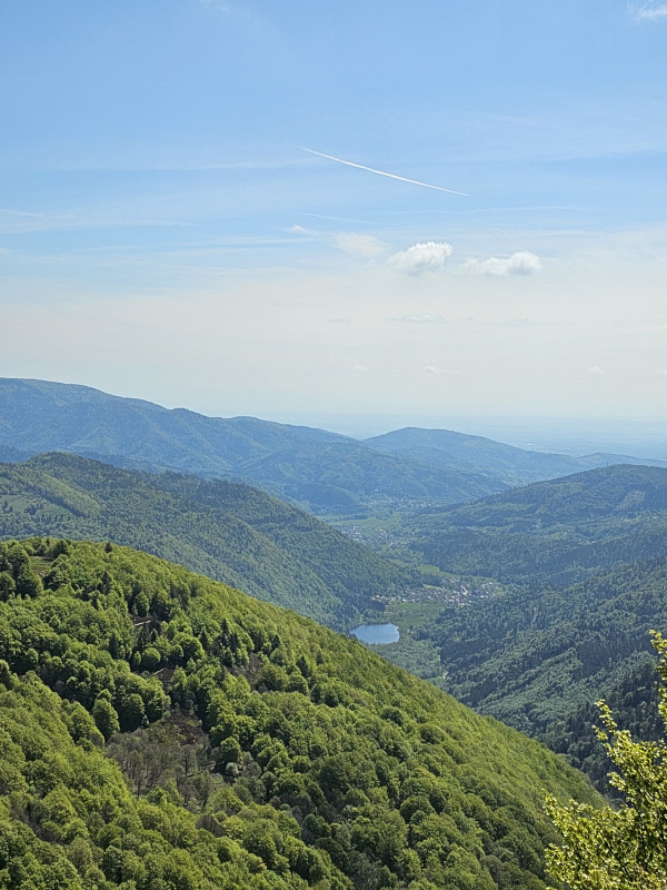 sentier-decouverte-ballon-alsace-7