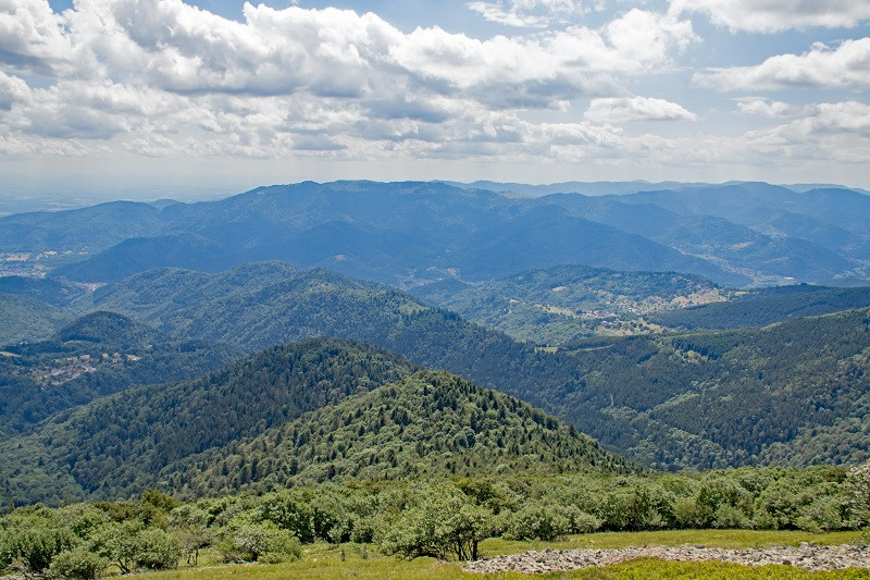 la-route-des-cretes-et-le-grand-ballon-6