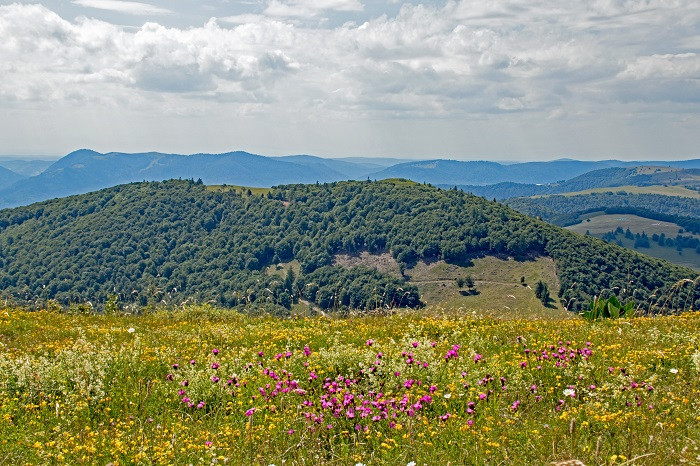 la-route-des-cretes-et-le-grand-ballon-2