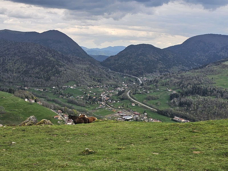 circuit-saute-2 circuit-saute-2