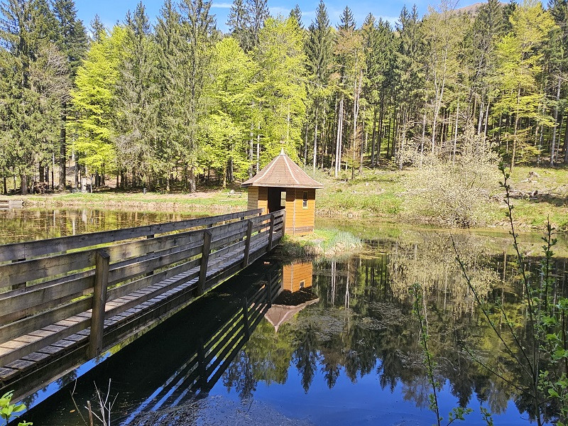 circuit-tour-la-hutte-4 circuit-tour-la-hutte-4