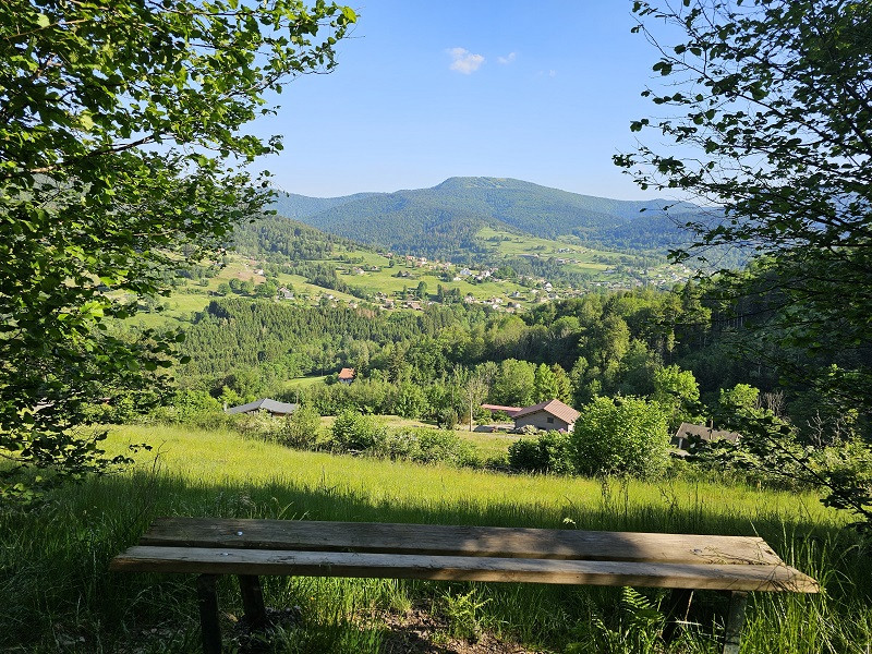 balade-sentier-chevres-6