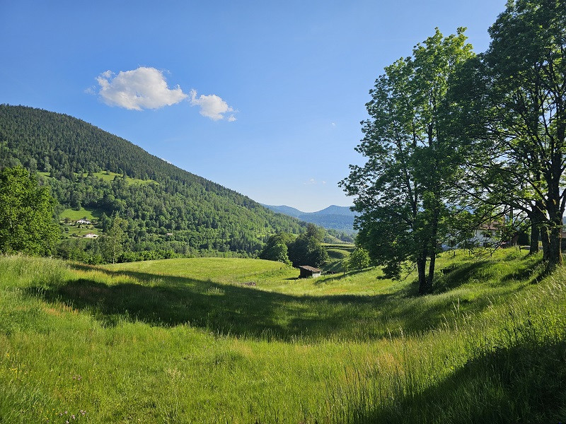 balade-sentier-chevres-2 balade-sentier-chevres-2