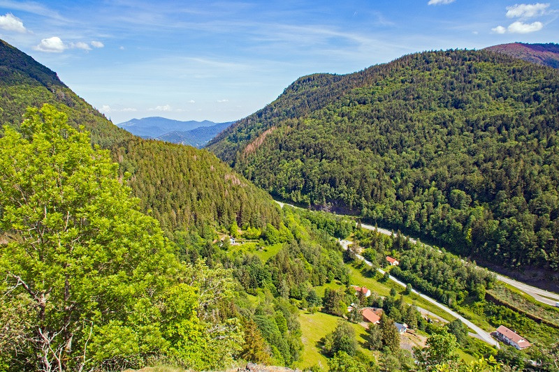 randonneedrumont-par-sentier-des-russiers-5 randonneedrumont-par-sentier-des-russiers-5