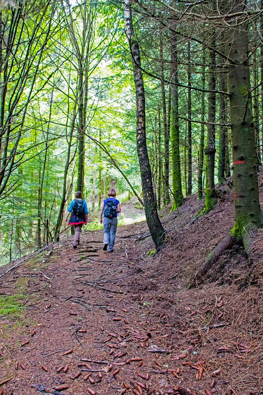 randonnee-ste-barbe-par-sabbat-2 randonnee-ste-barbe-par-sabbat-2