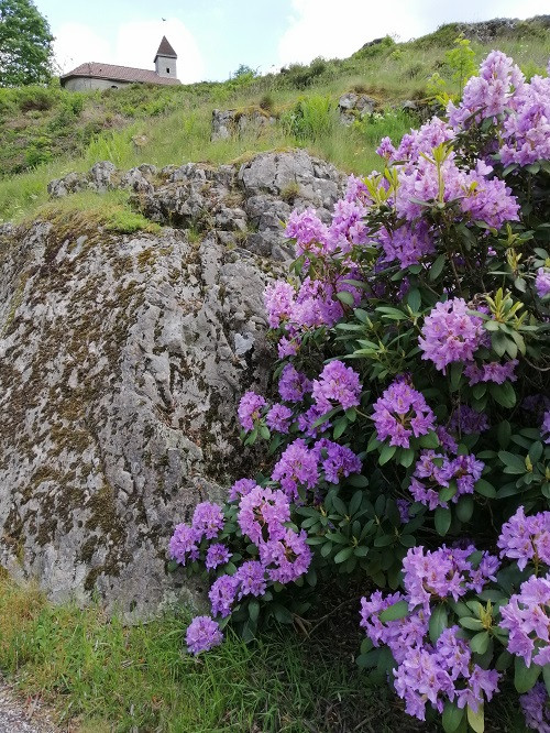 circuit-la-grande-goutte-2 circuit-la-grande-goutte-2