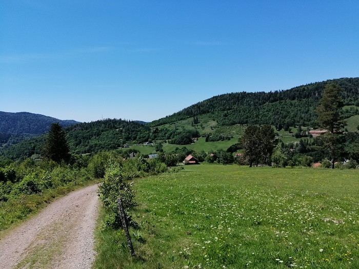 745004916_9 745004916_9