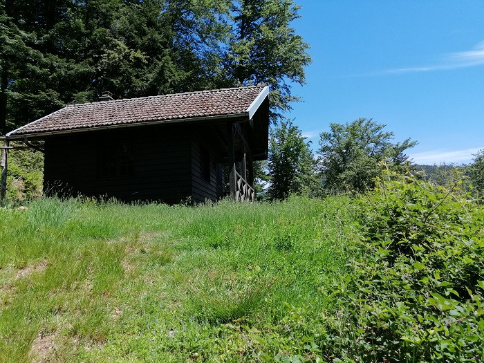 circuit-rouge-gazon-2