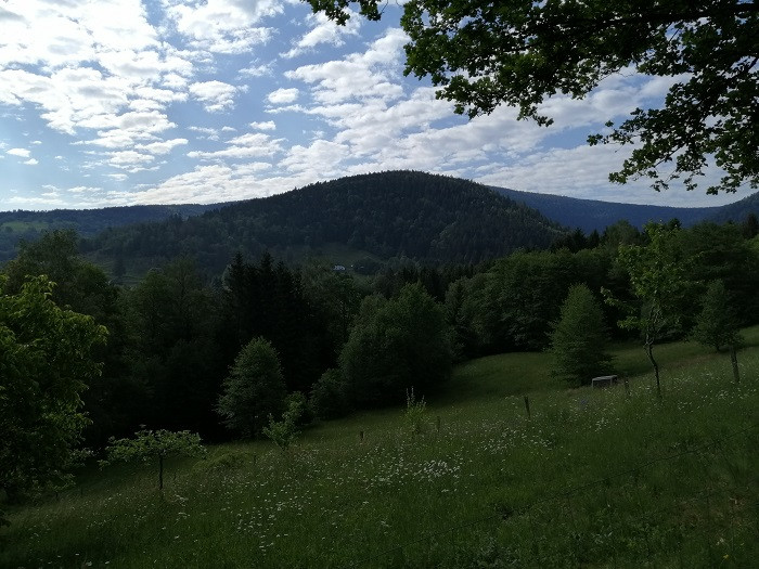 circuit-le-hangy-4