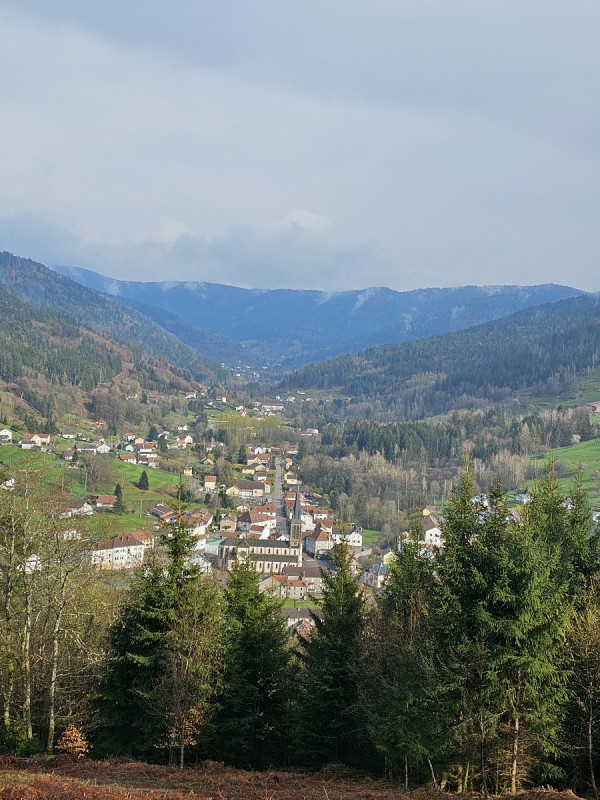 balade-foret-vosgienne-2 balade-foret-vosgienne-2