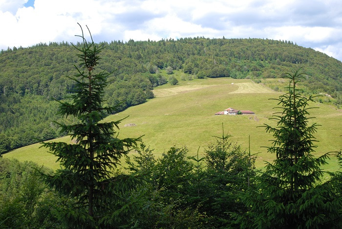 balade-neufs-bois-et-ses-etangs-8
