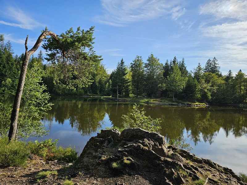 balade-noirs-etangs-8