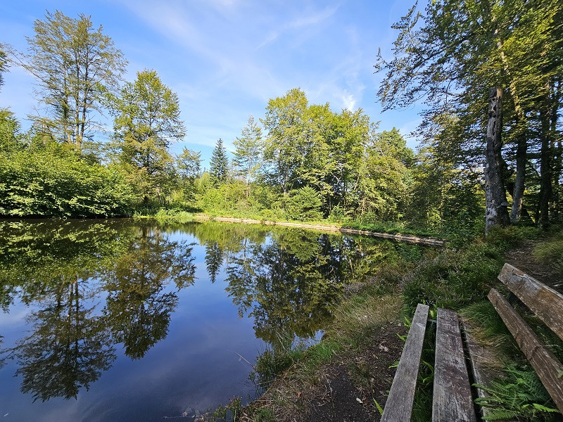 balade-noirs-etangs-4