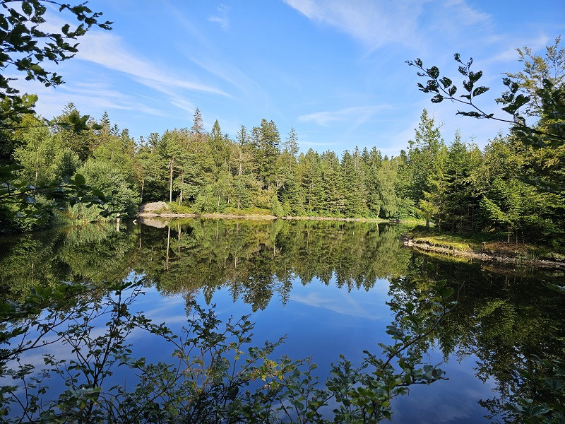 balade-noirs-etangs-7