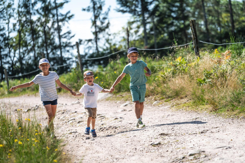 balade-mont-de-fourche