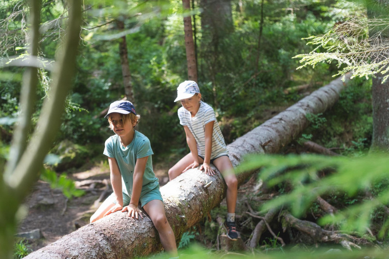 balade-la-beuille balade-la-beuille