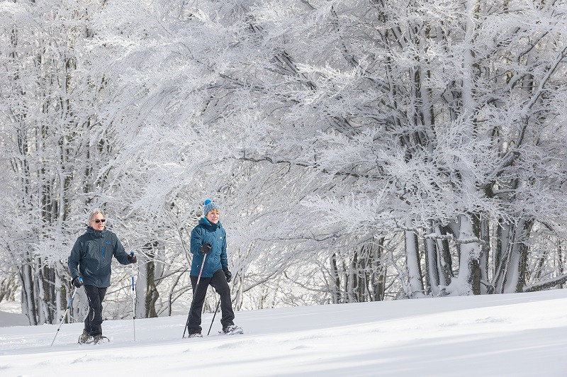 circuit-raquettes-tour-tete-corbeaux-3