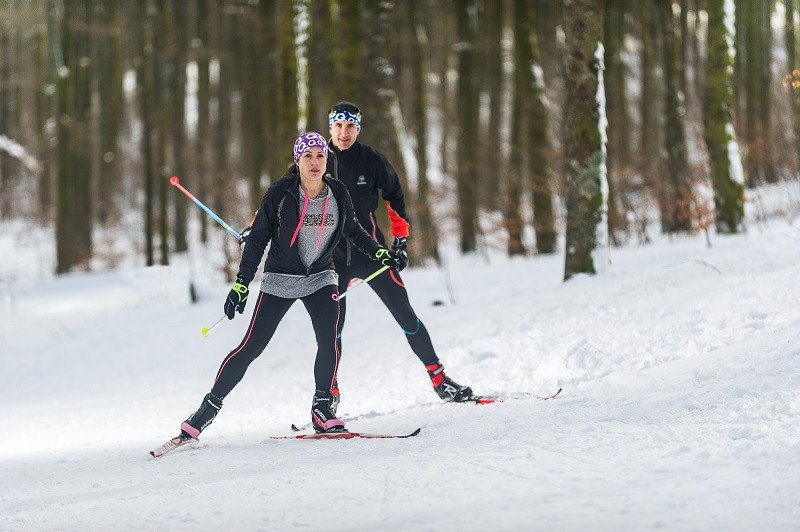 piste-ski-de-fond-lochere