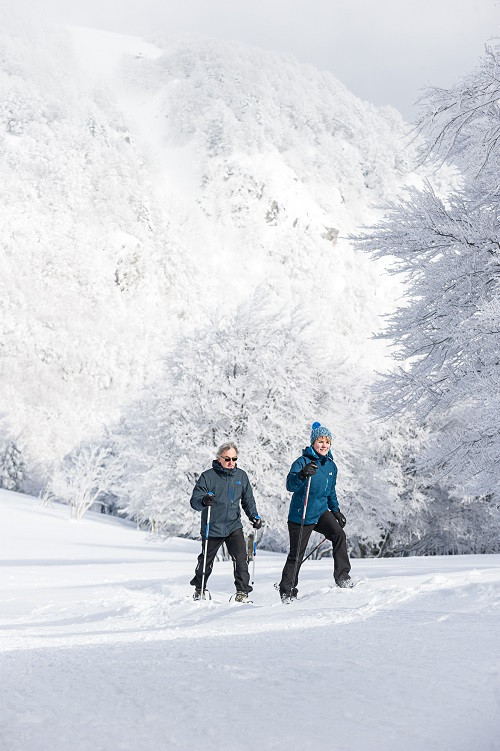 circuit-raquettes-jumenterie-3 circuit-raquettes-jumenterie-3