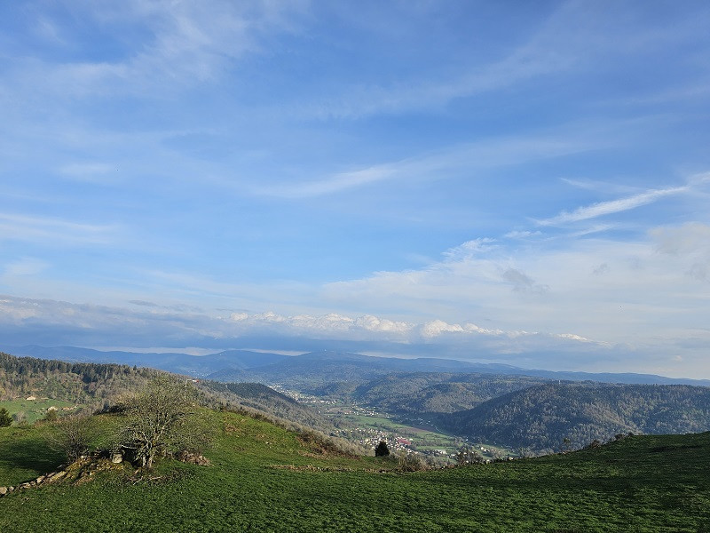 circuit-col-rhamne-5