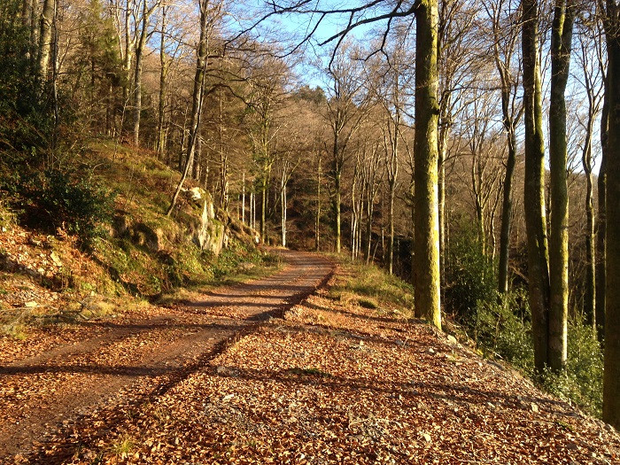 circuit-chalet-fraiteux-2