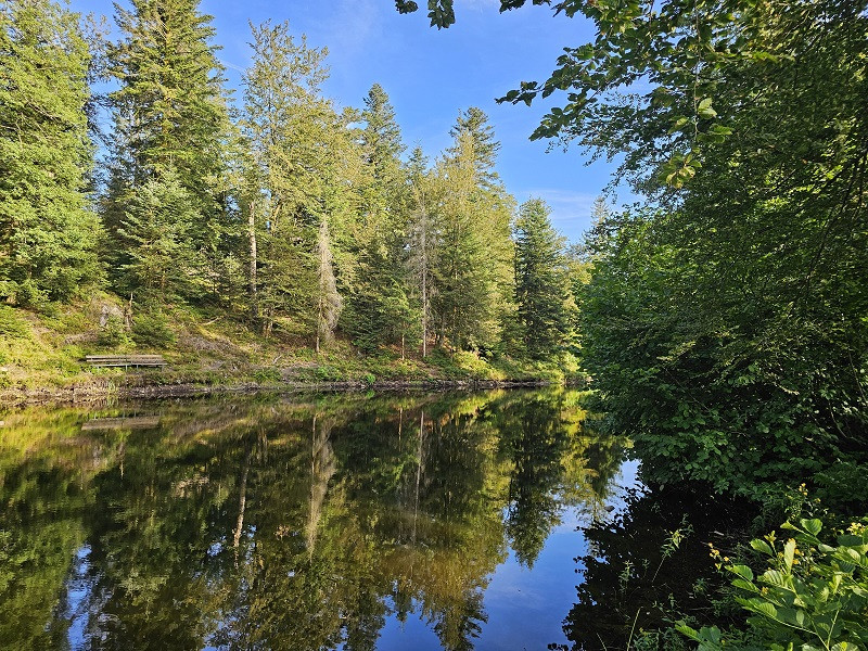 circuit-etang-noir-4 circuit-etang-noir-4