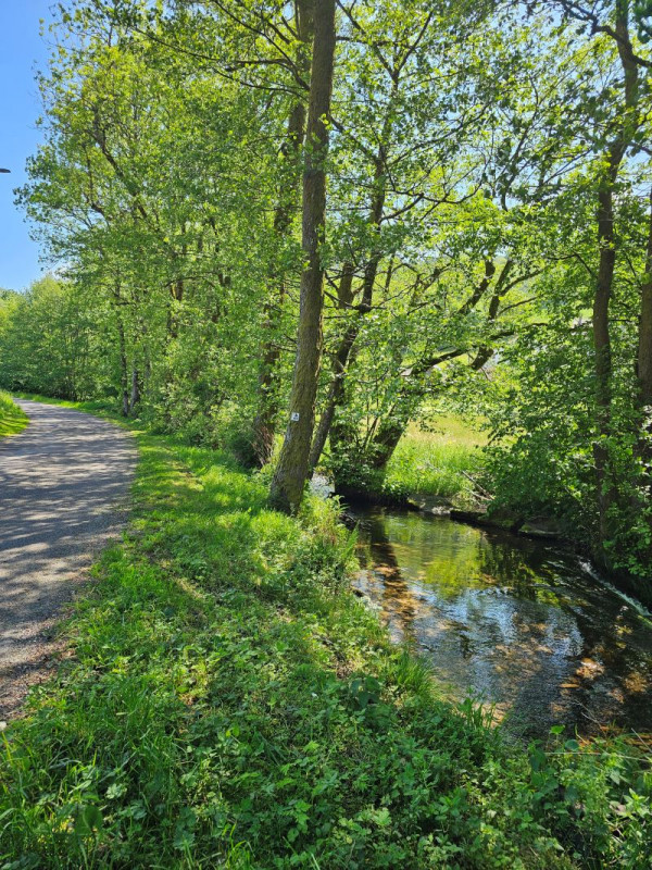 circuit-poussette-fresse-sur-moselle4 circuit-poussette-fresse-sur-moselle4