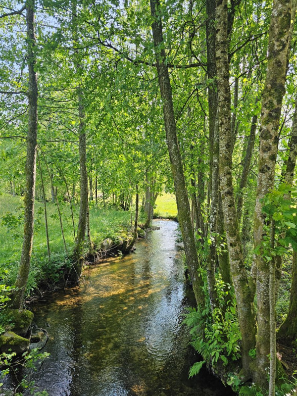 circuit-poussette-le-menil2 circuit-poussette-le-menil2