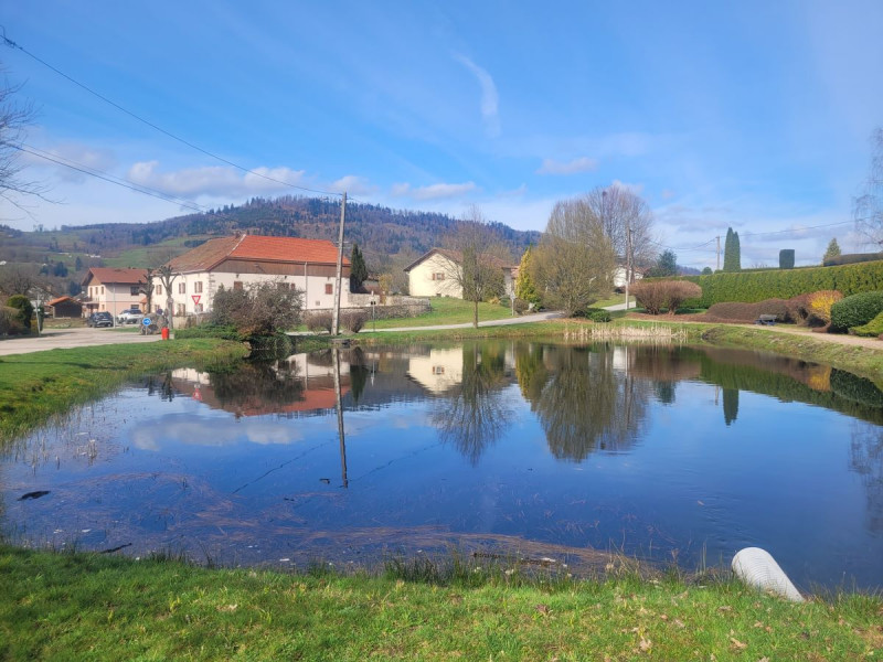 circuit-poussette-rupt-sur-moselle circuit-poussette-rupt-sur-moselle