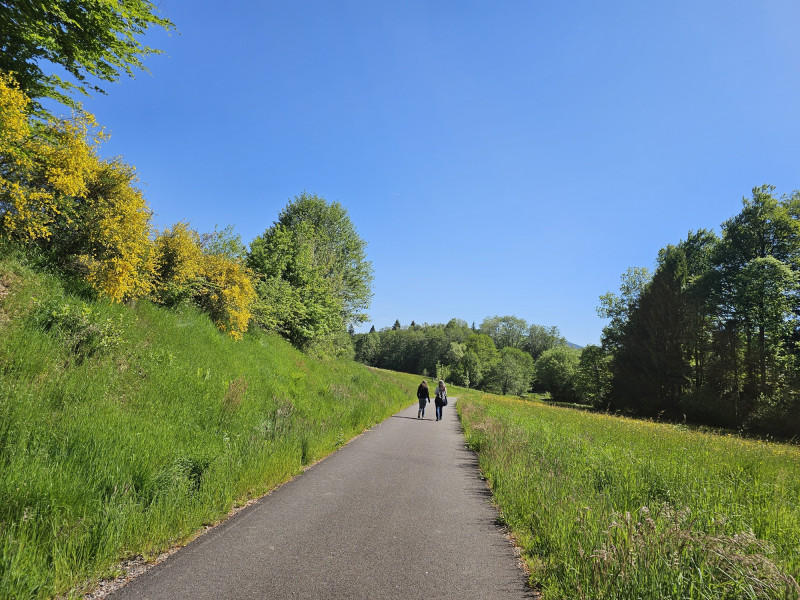 voie-du-tacot-le-thillot-1