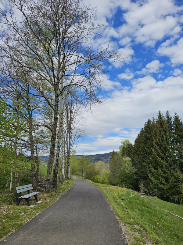 voie-du-tacot-le-thillot-7