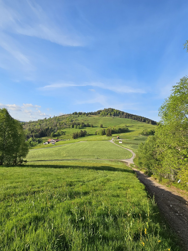 circuit-trail1-chapelle-des-ves-10
