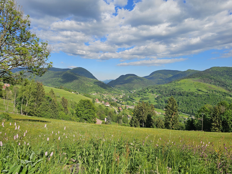 circuit-trail3-le-larcenaire-bussang circuit-trail3-le-larcenaire-bussang