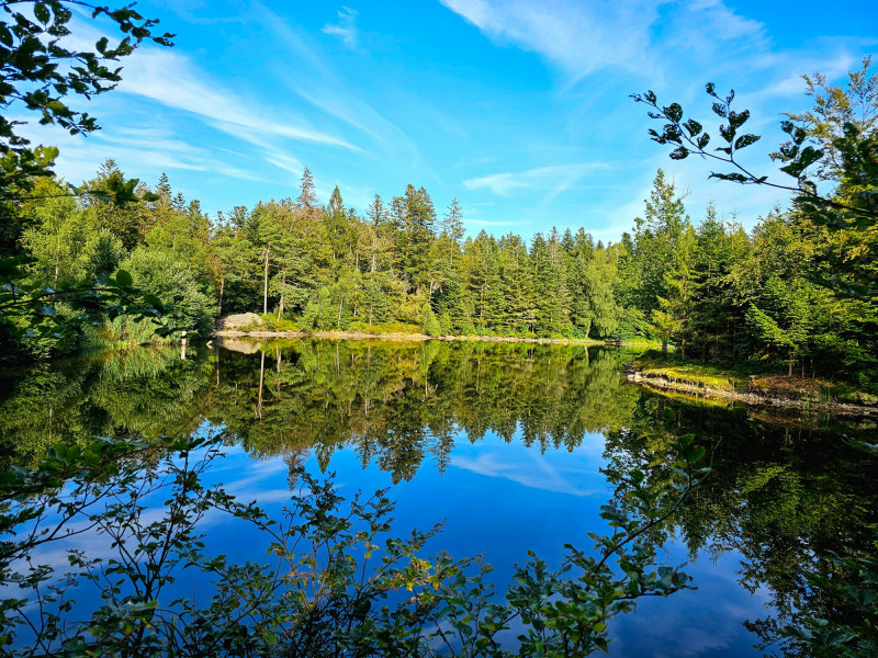 circuit-trail5-les-etangs-2 circuit-trail5-les-etangs-2