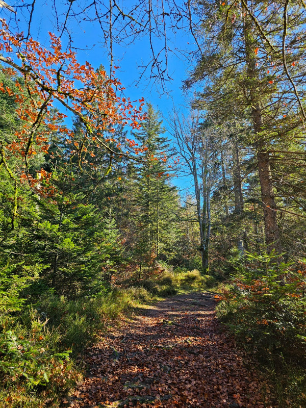 7450circuit-trail5-les-etangs-9