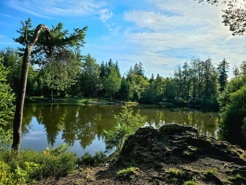 circuit-trail5-les-etangs circuit-trail5-les-etangs
